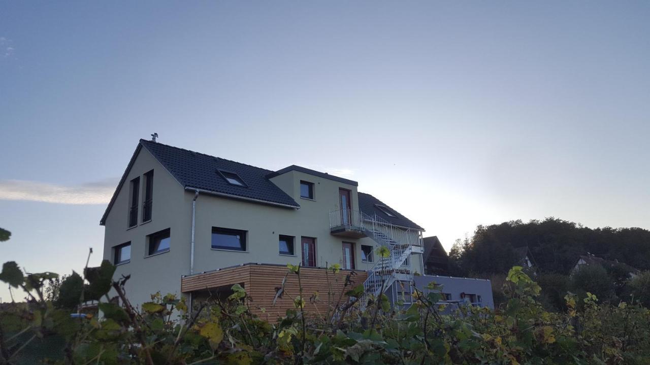 Gaestehaus Casa Luna - Paradiesische Ferienwohnungen Am Kaiserstuhl! Bischoffingen Zewnętrze zdjęcie