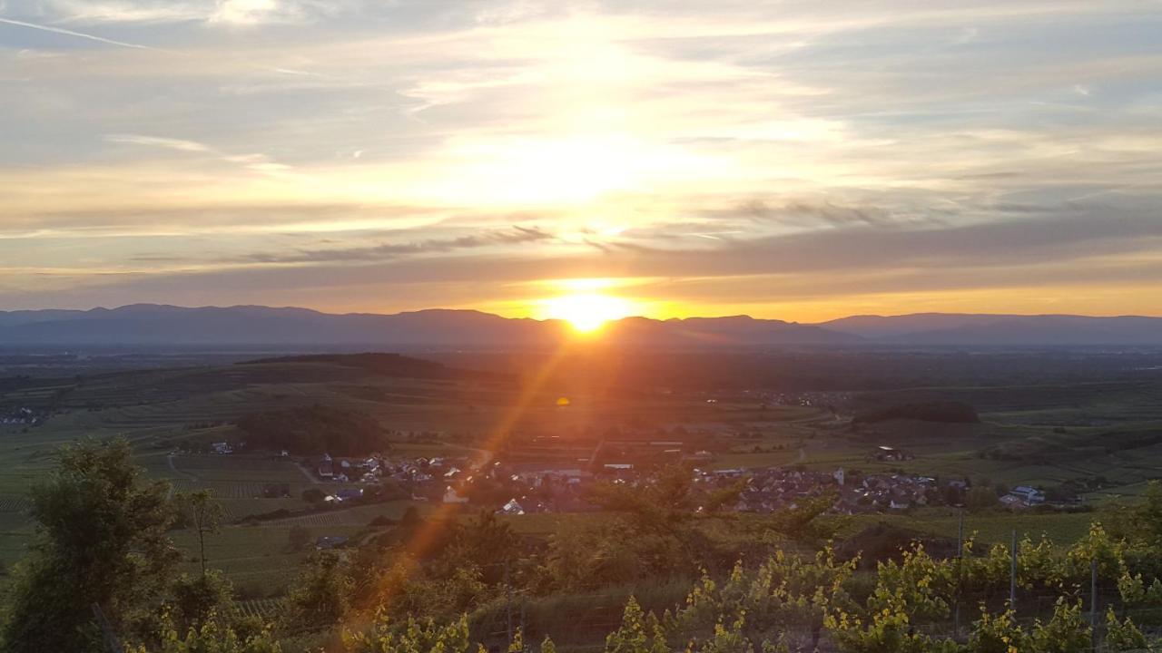 Gaestehaus Casa Luna - Paradiesische Ferienwohnungen Am Kaiserstuhl! Bischoffingen Zewnętrze zdjęcie