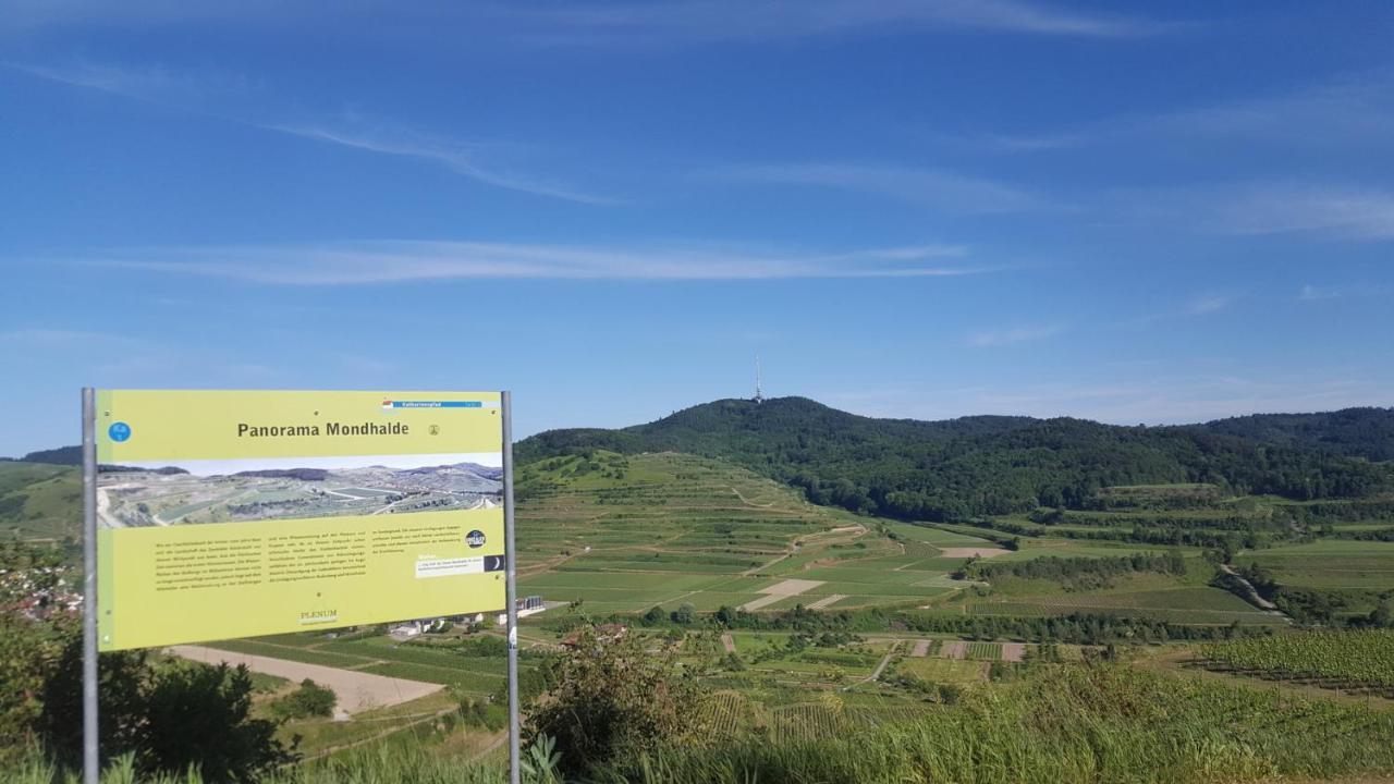 Gaestehaus Casa Luna - Paradiesische Ferienwohnungen Am Kaiserstuhl! Bischoffingen Zewnętrze zdjęcie