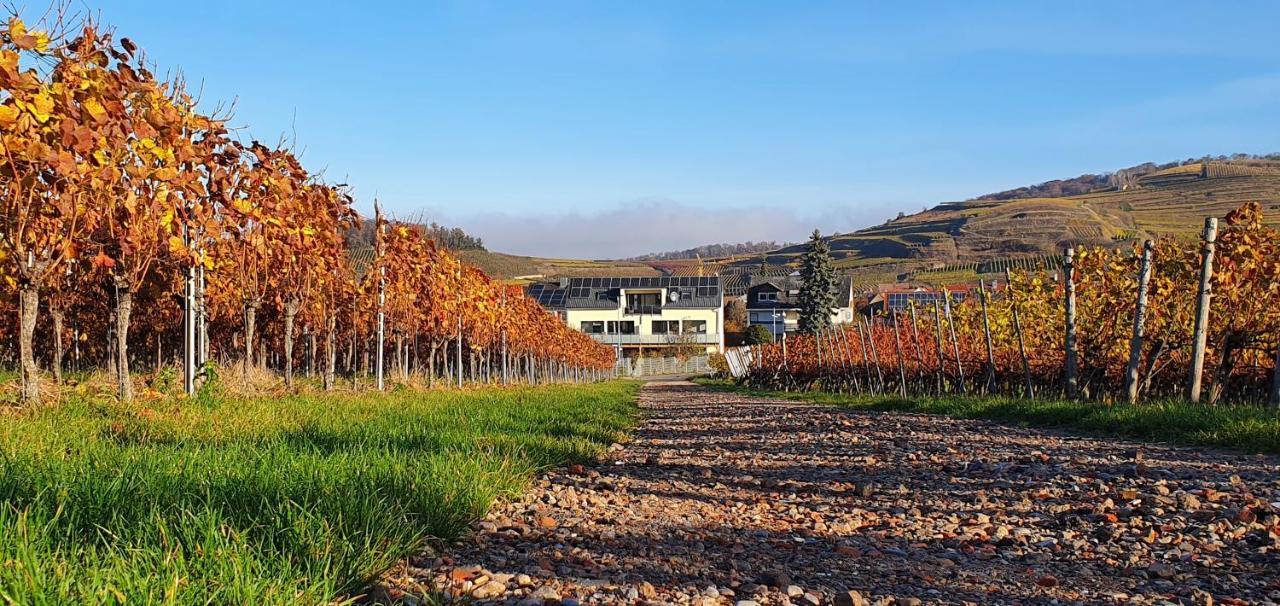 Gaestehaus Casa Luna - Paradiesische Ferienwohnungen Am Kaiserstuhl! Bischoffingen Zewnętrze zdjęcie