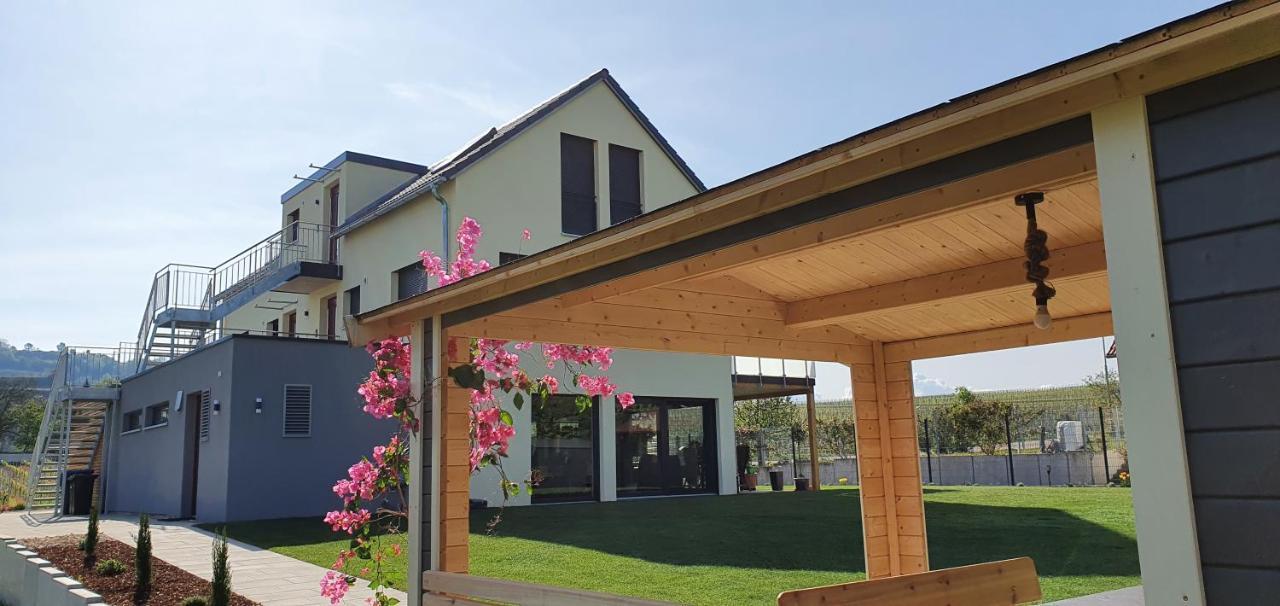 Gaestehaus Casa Luna - Paradiesische Ferienwohnungen Am Kaiserstuhl! Bischoffingen Zewnętrze zdjęcie