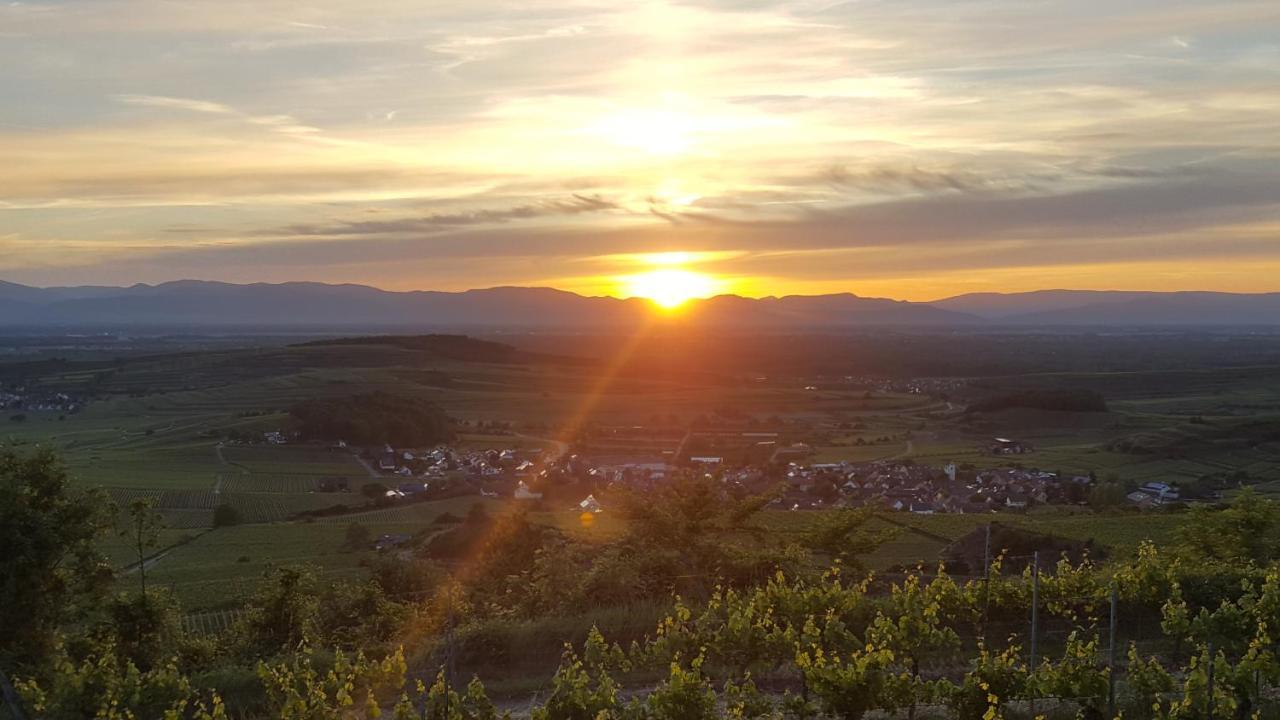 Gaestehaus Casa Luna - Paradiesische Ferienwohnungen Am Kaiserstuhl! Bischoffingen Zewnętrze zdjęcie