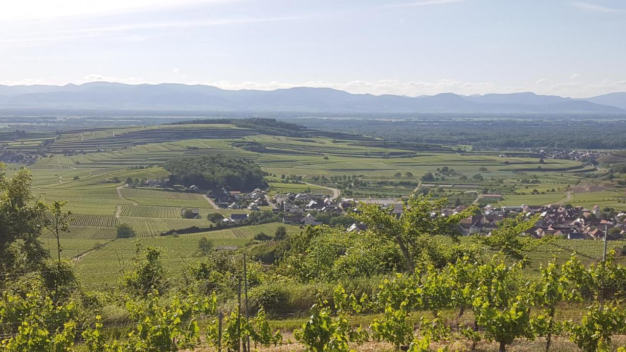 Gaestehaus Casa Luna - Paradiesische Ferienwohnungen Am Kaiserstuhl! Bischoffingen Zewnętrze zdjęcie