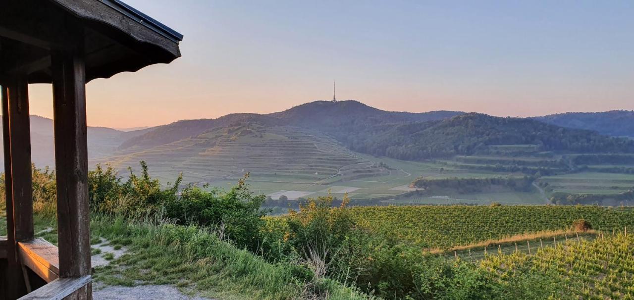 Gaestehaus Casa Luna - Paradiesische Ferienwohnungen Am Kaiserstuhl! Bischoffingen Zewnętrze zdjęcie